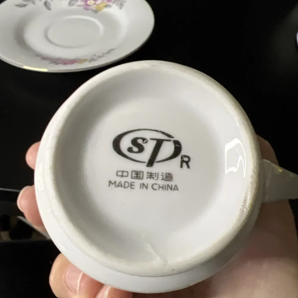 STR China Vintage Pink‎ Purple Yellow Floral Tea Cup and Saucer Gold Accents